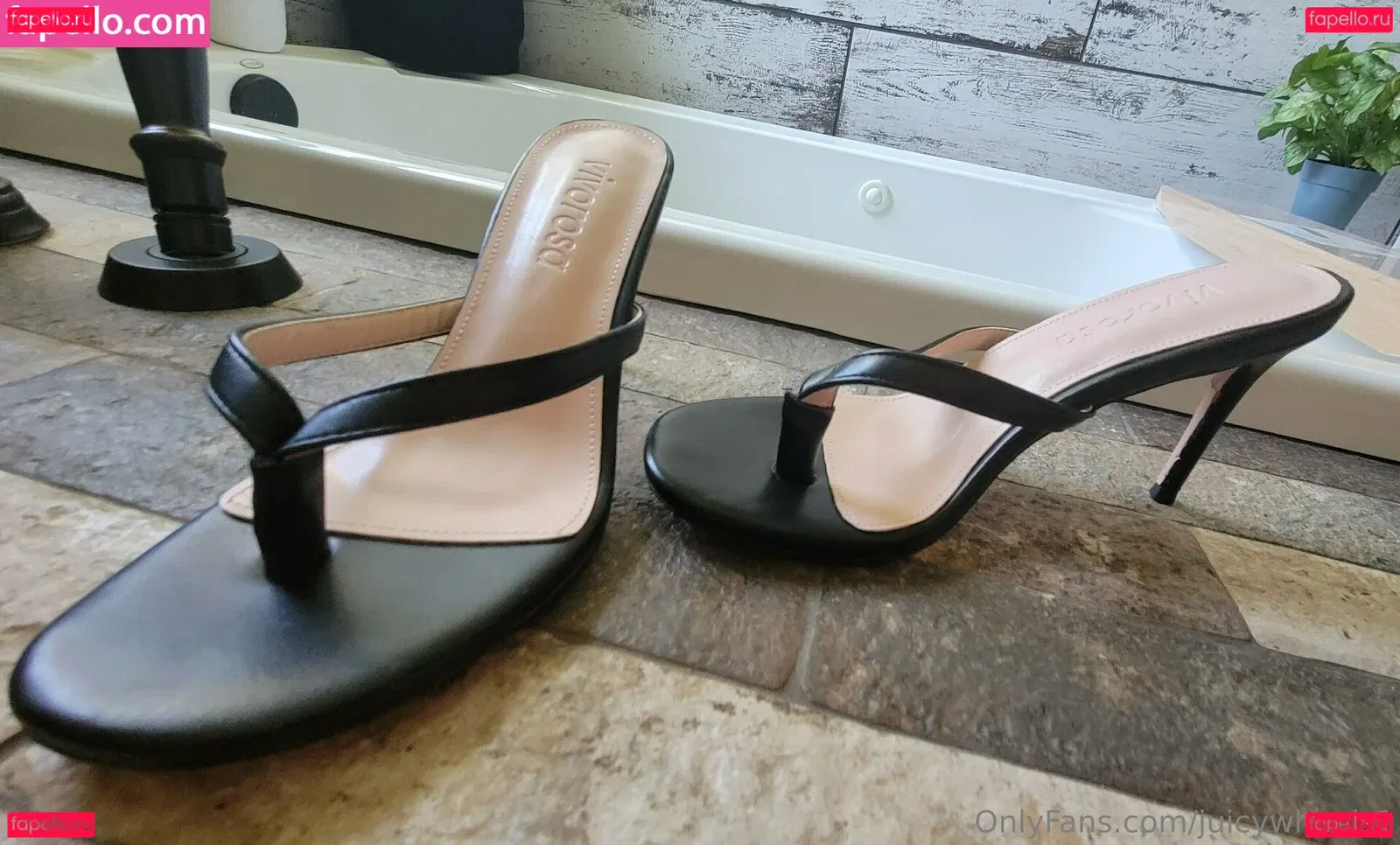 juicywheels1 Onlyfans Photo Gallery 