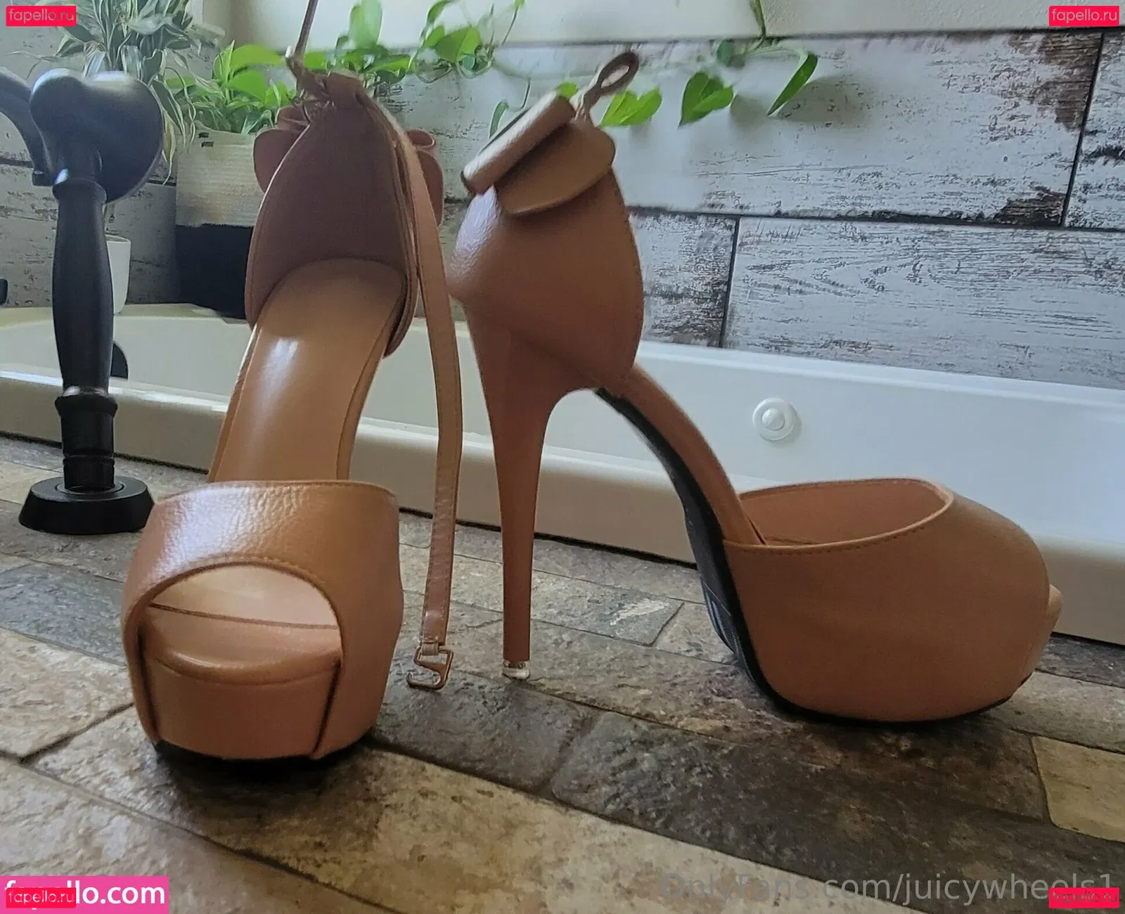 juicywheels1 Onlyfans Photo Gallery 