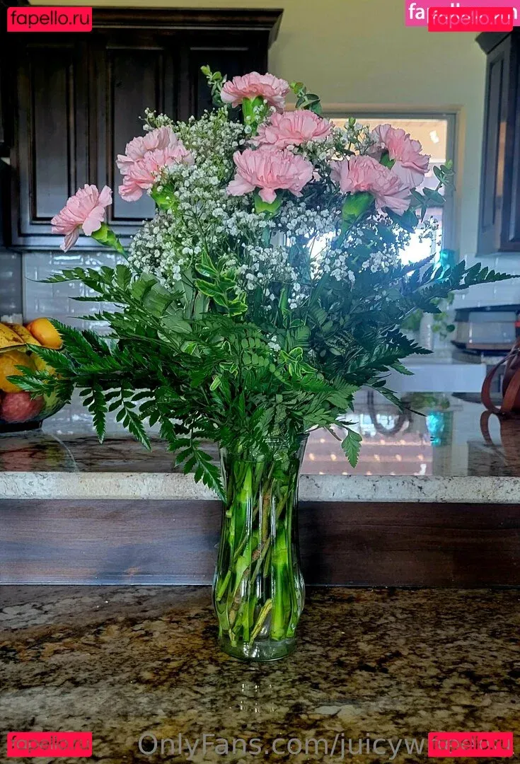 juicywheels1 Onlyfans Photo Gallery 