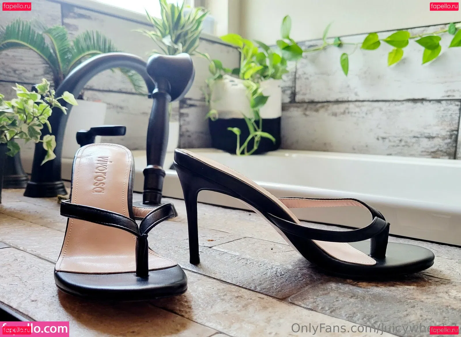 juicywheels1 Onlyfans Photo Gallery 