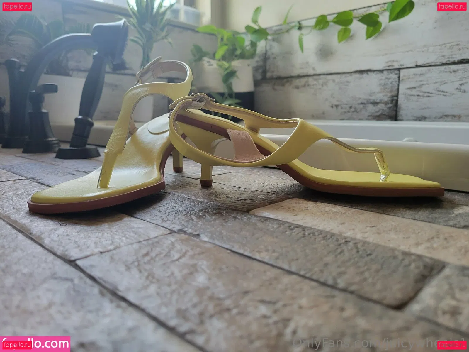 juicywheels1 Onlyfans Photo Gallery 