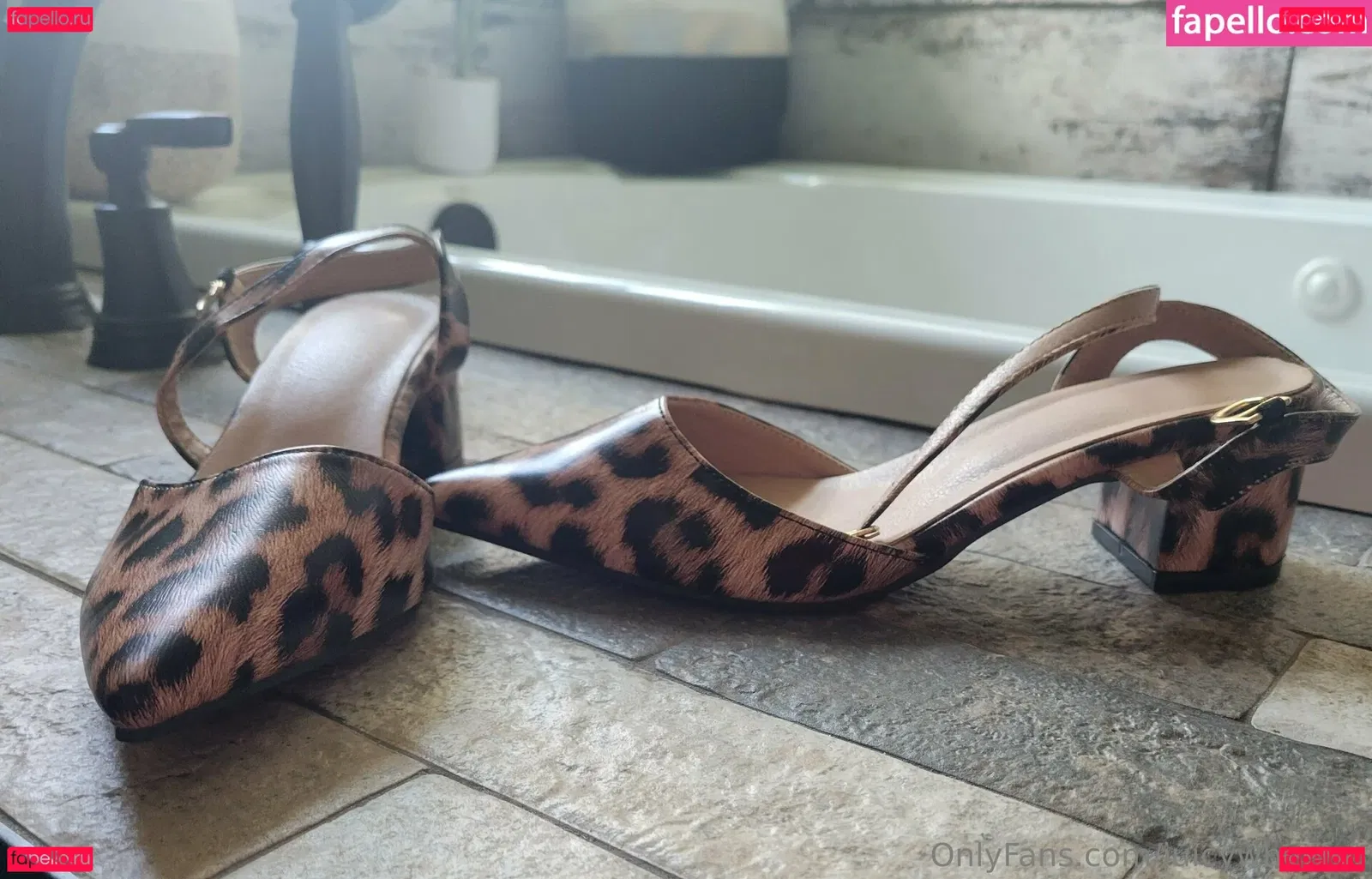 juicywheels1 Onlyfans Photo Gallery 