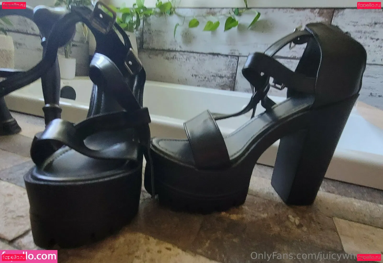 juicywheels1 Onlyfans Photo Gallery 