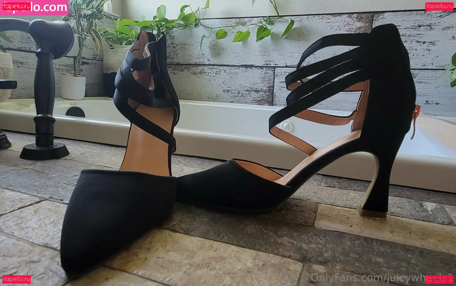 juicywheels1 Onlyfans Photo Gallery 