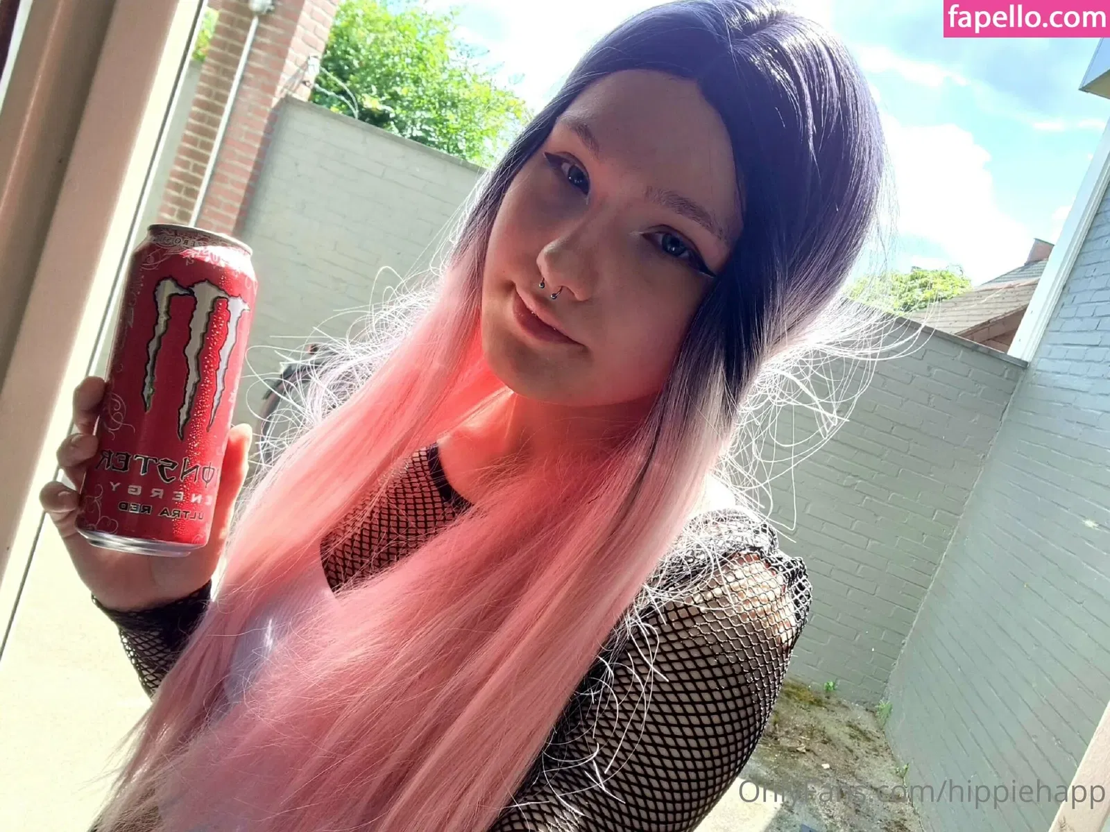 hippiehapp Onlyfans Photo Gallery 