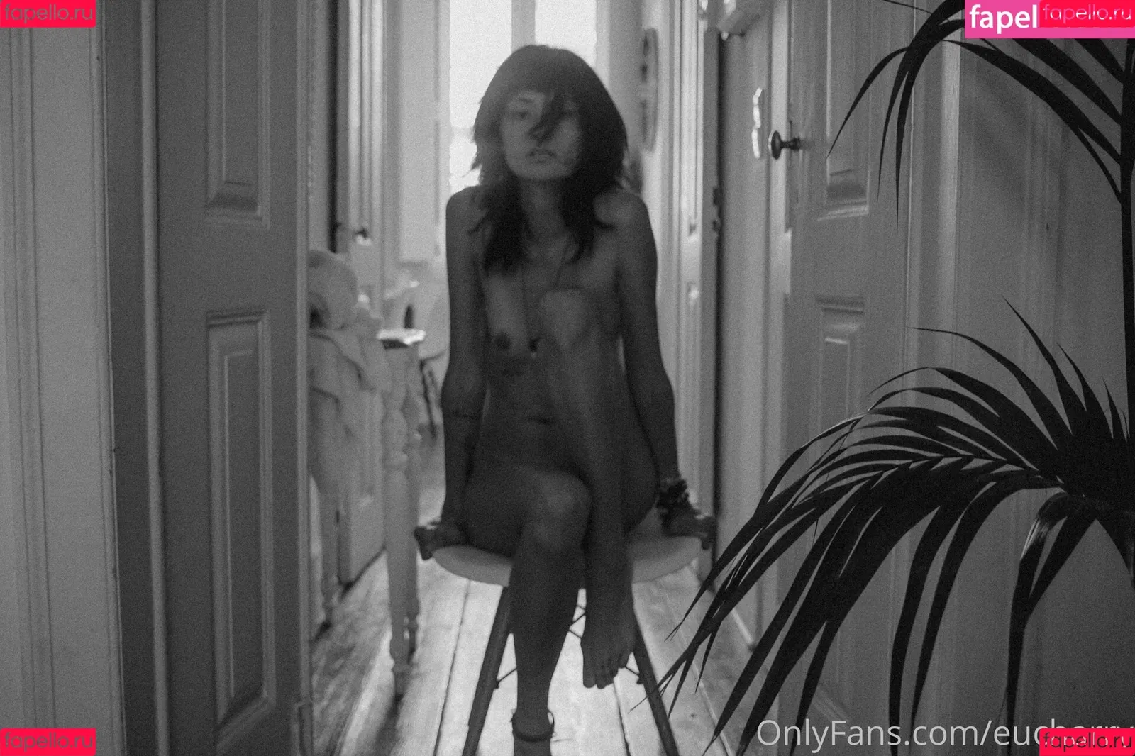Charry Jin Onlyfans Photo Gallery 