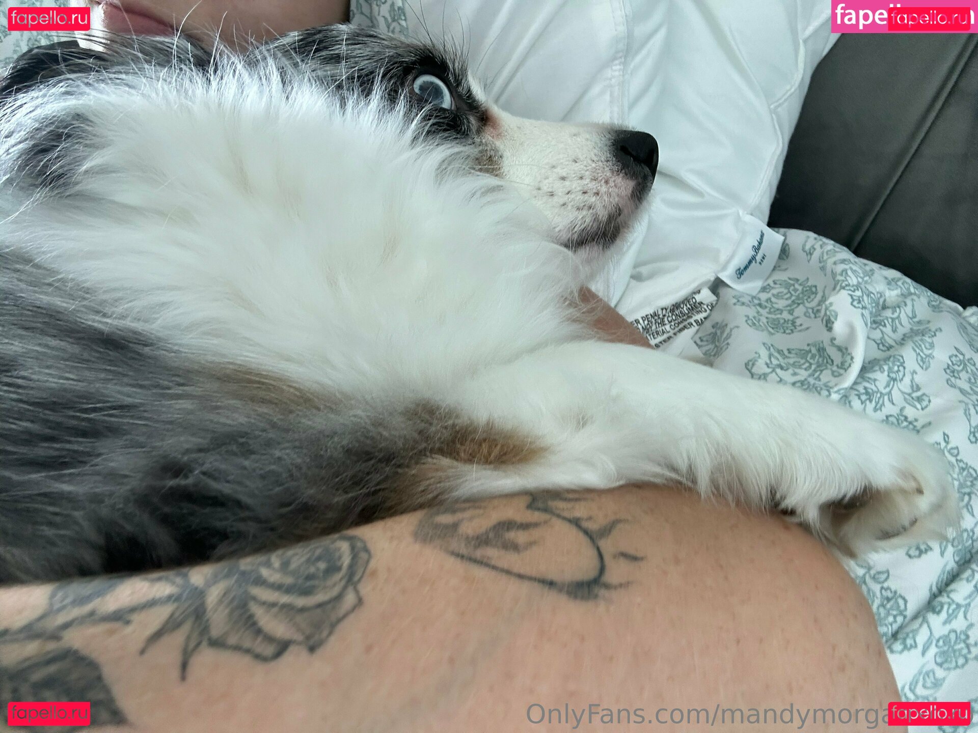 MandyMorganxoxo Onlyfans Photo Gallery 