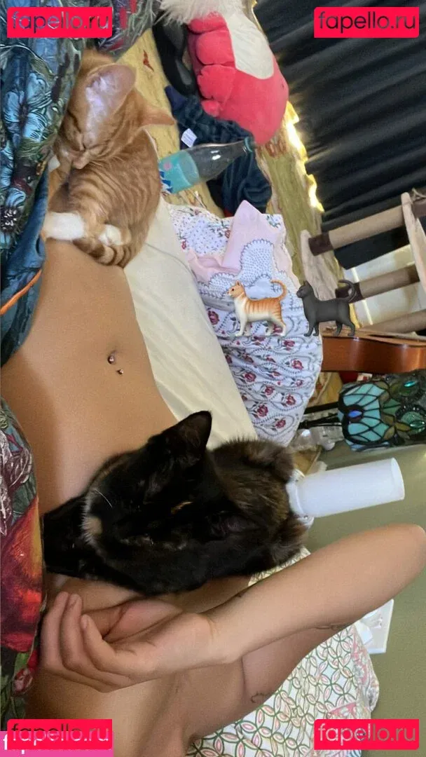 Radvxz Onlyfans Photo Gallery 