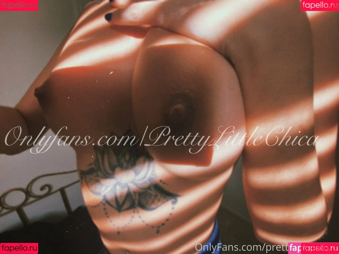 prettylittlechica Onlyfans Photo Gallery 