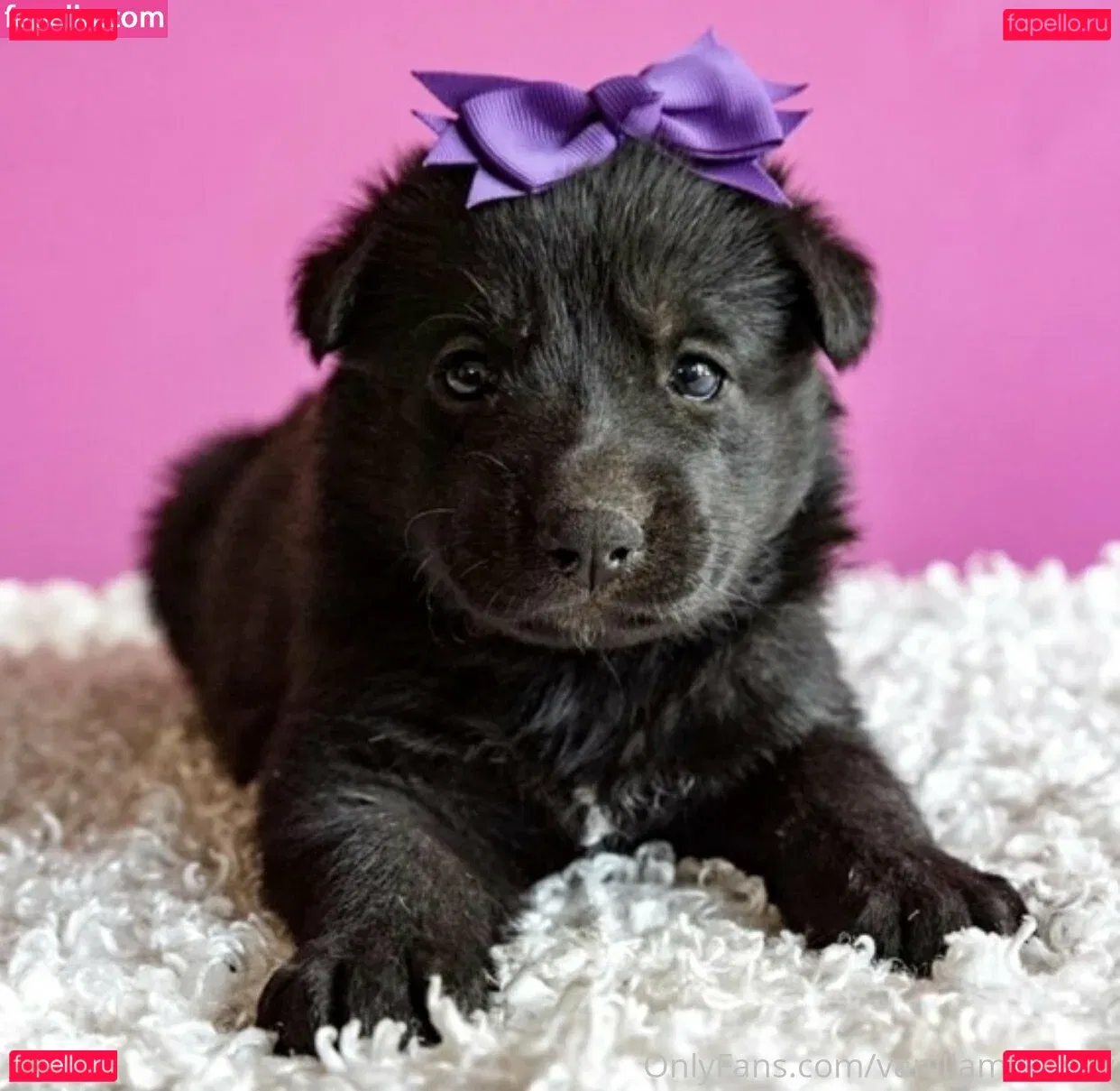 vanillamilknsfw Onlyfans Photo Gallery 