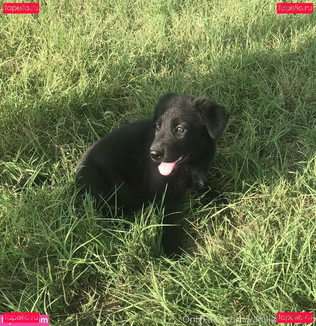 vanillamilknsfw Onlyfans Photo Gallery 