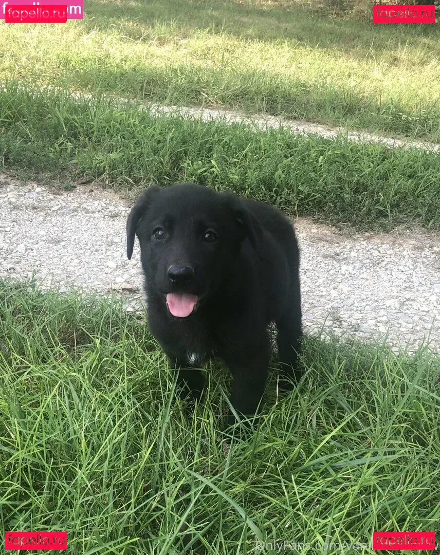 vanillamilknsfw Onlyfans Photo Gallery 