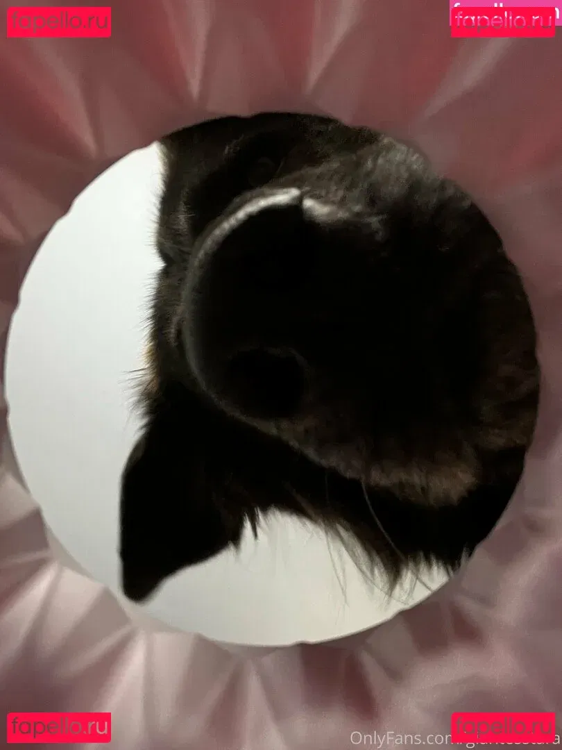 giantesstara Onlyfans Photo Gallery 