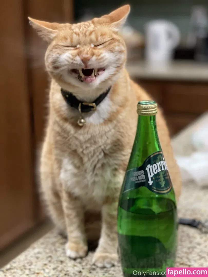 clubstarfall Onlyfans Photo Gallery 