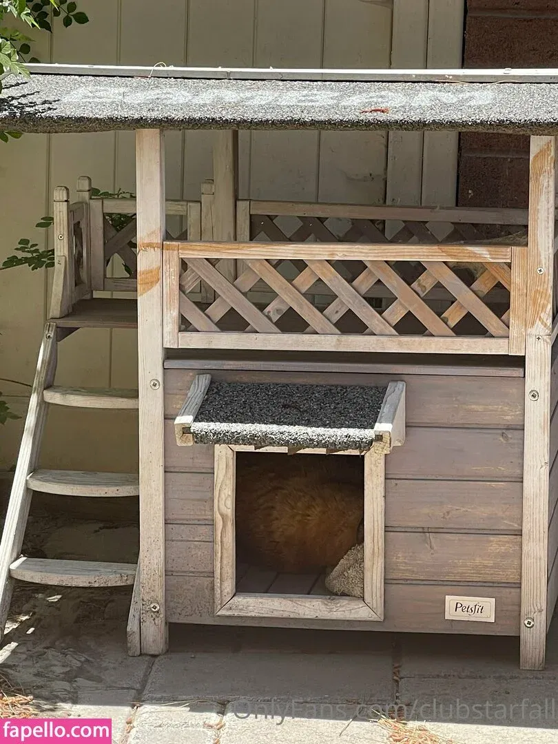 clubstarfall Onlyfans Photo Gallery 