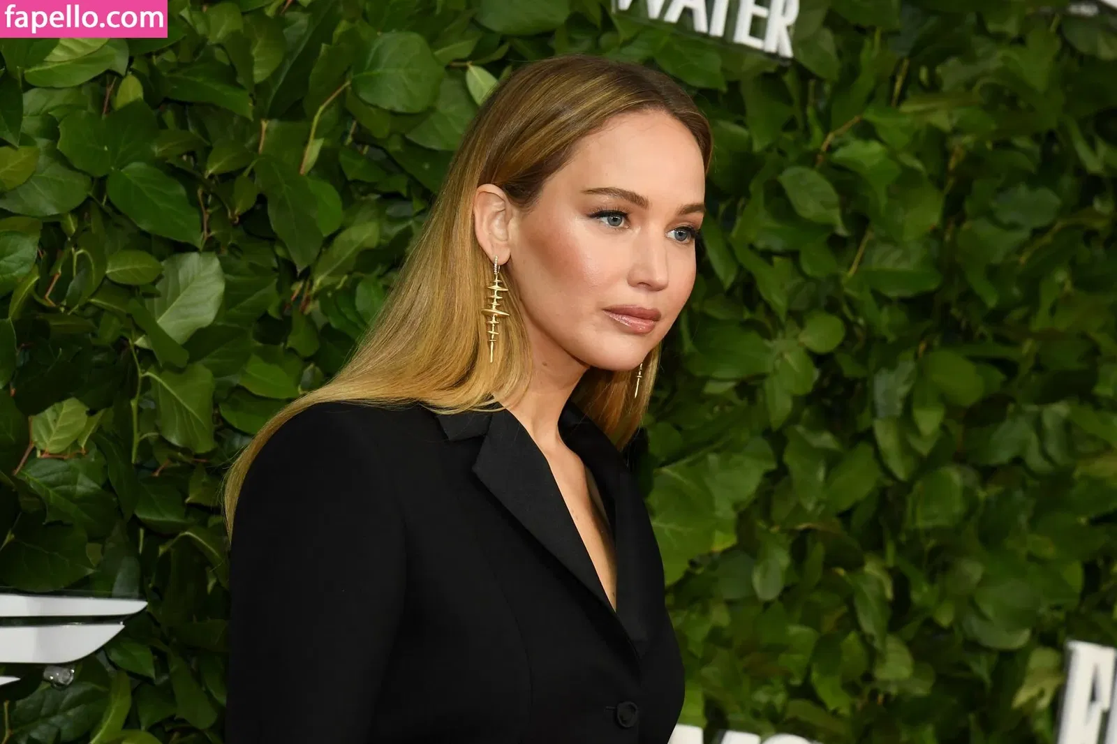 Jennifer Lawrence Onlyfans Photo Gallery 