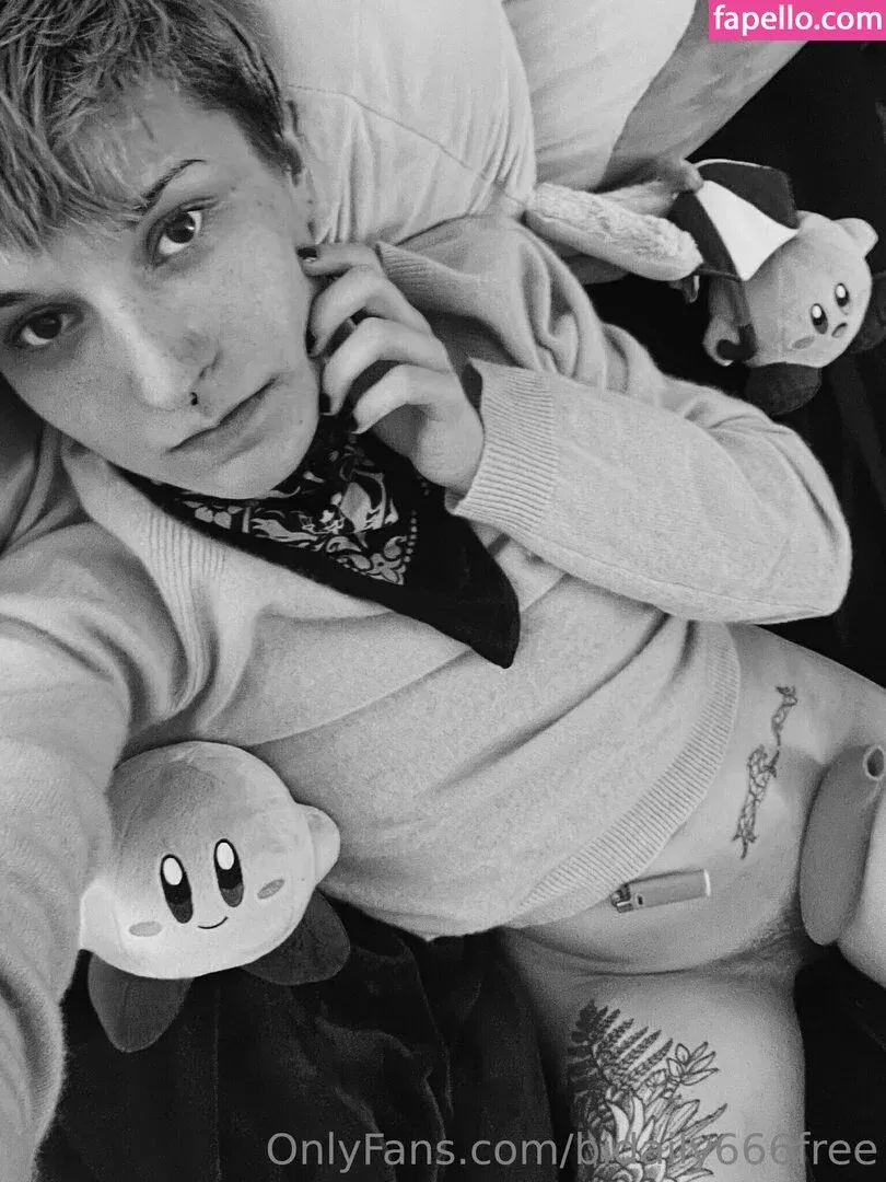 bidaily666free Onlyfans Photo Gallery 