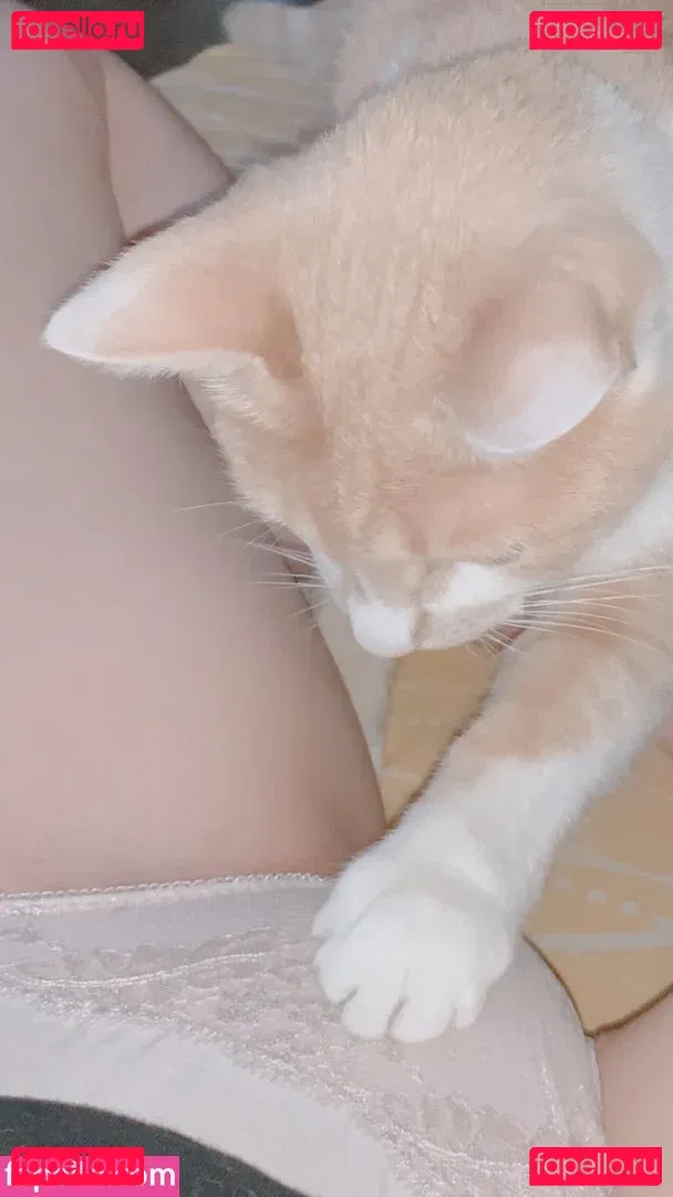 Tanya Kruit Onlyfans Photo Gallery 