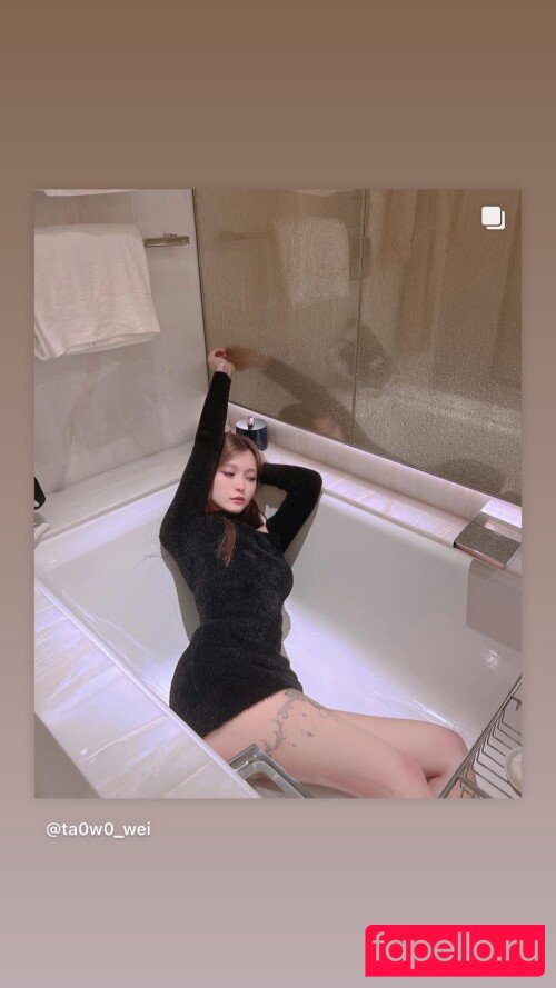 Tako_wei Nude Onlyfans Photo 51