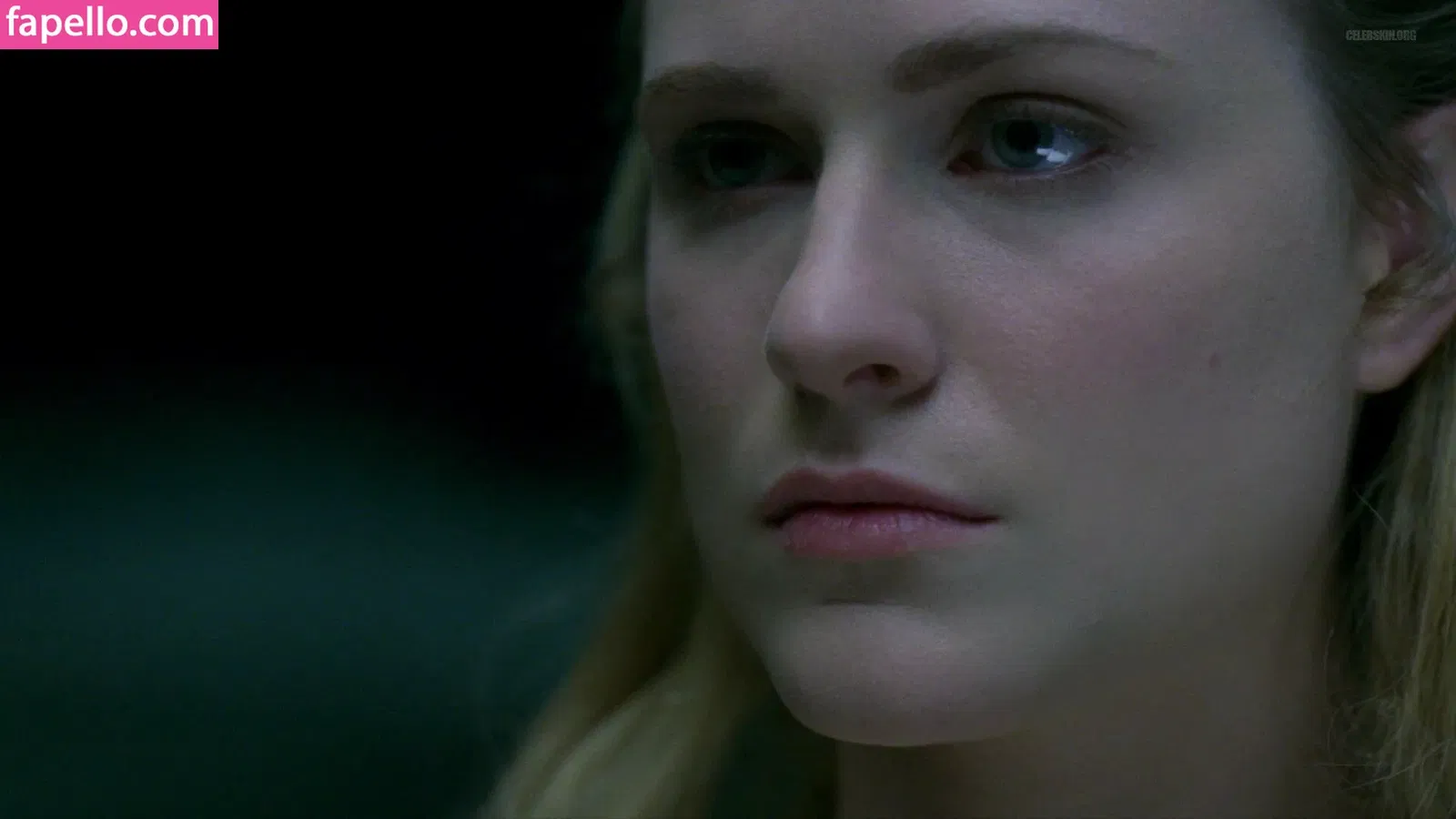 Evan Rachel Wood Onlyfans Photo Gallery 