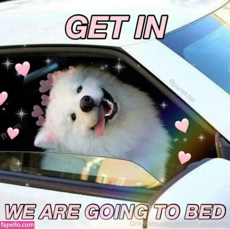 honeybunny_xxo Onlyfans Photo Gallery 