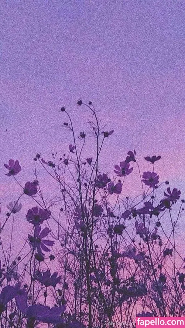 honeybunny_xxo Onlyfans Photo Gallery 