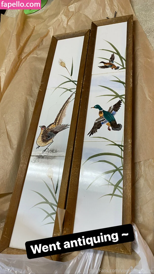 Vixenshelby Onlyfans Photo Gallery 