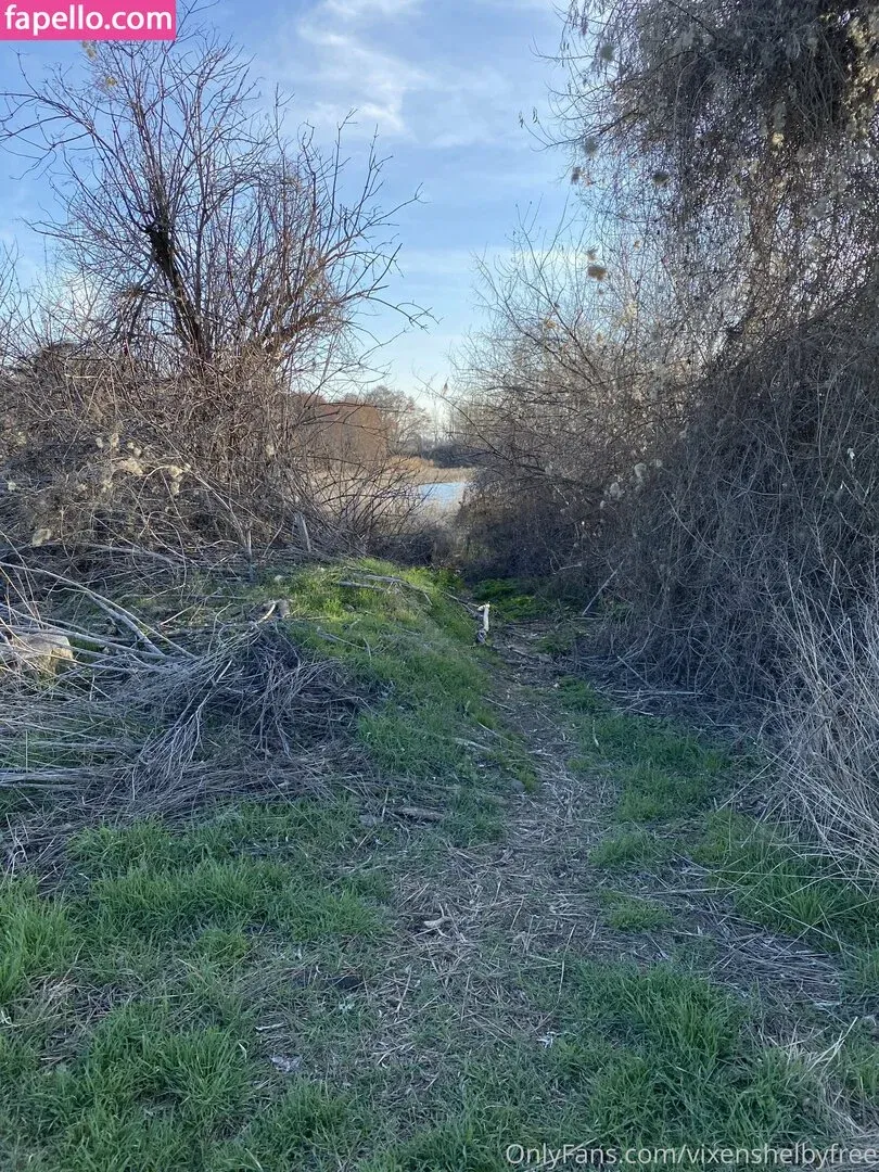 Vixenshelby Onlyfans Photo Gallery 