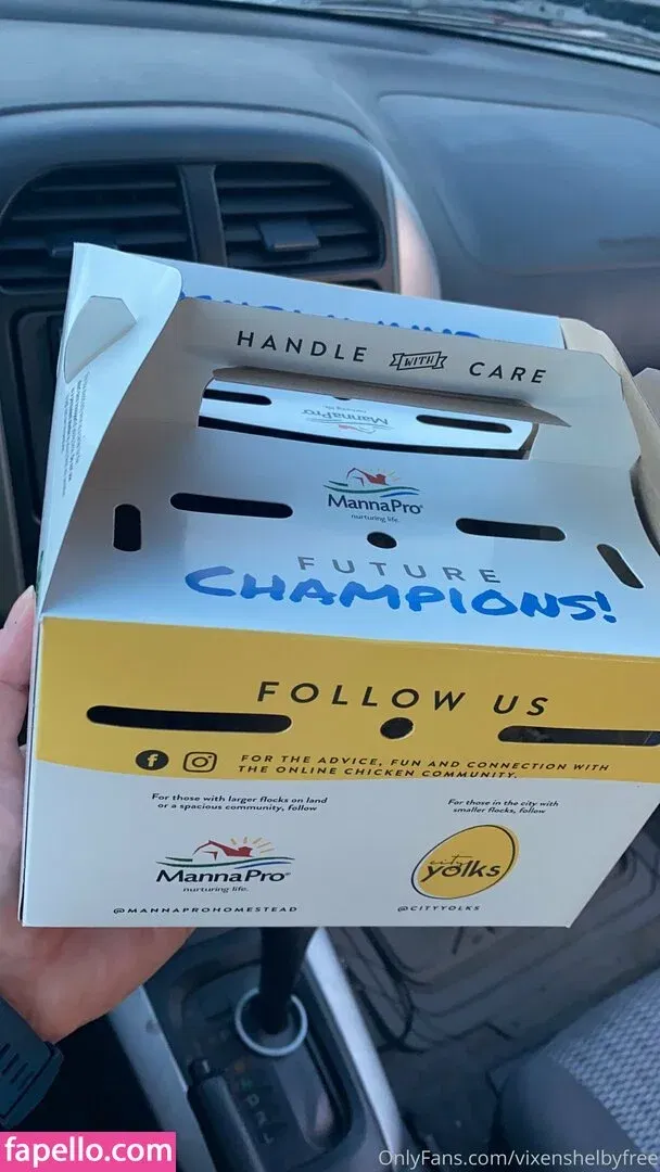 Vixenshelby Onlyfans Photo Gallery 