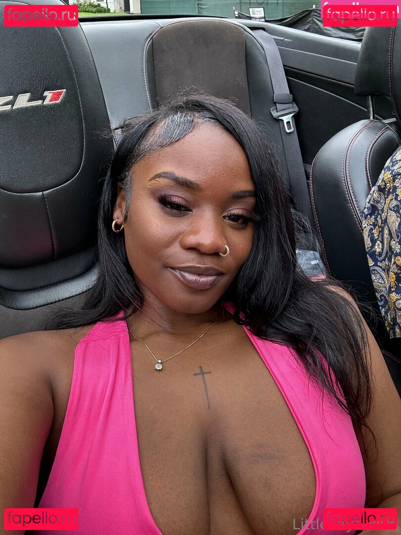 littlelaya Nude Onlyfans Photo 49