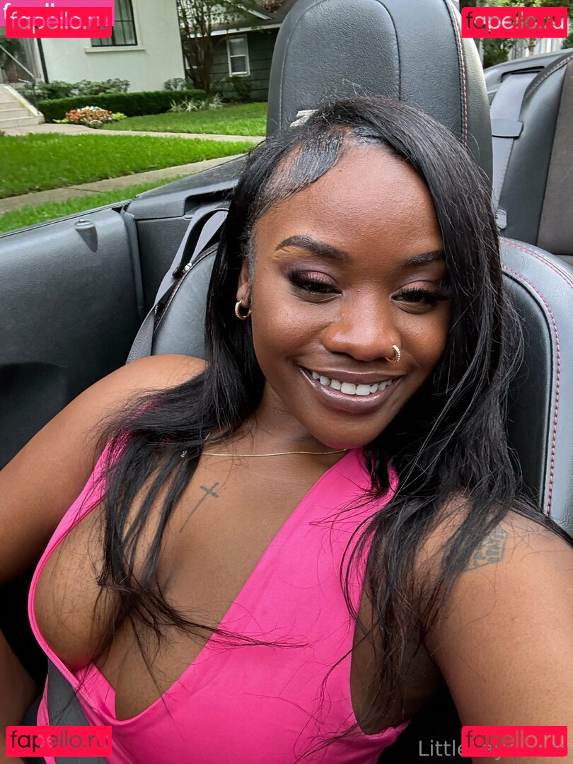 littlelaya Nude Onlyfans Photo 48