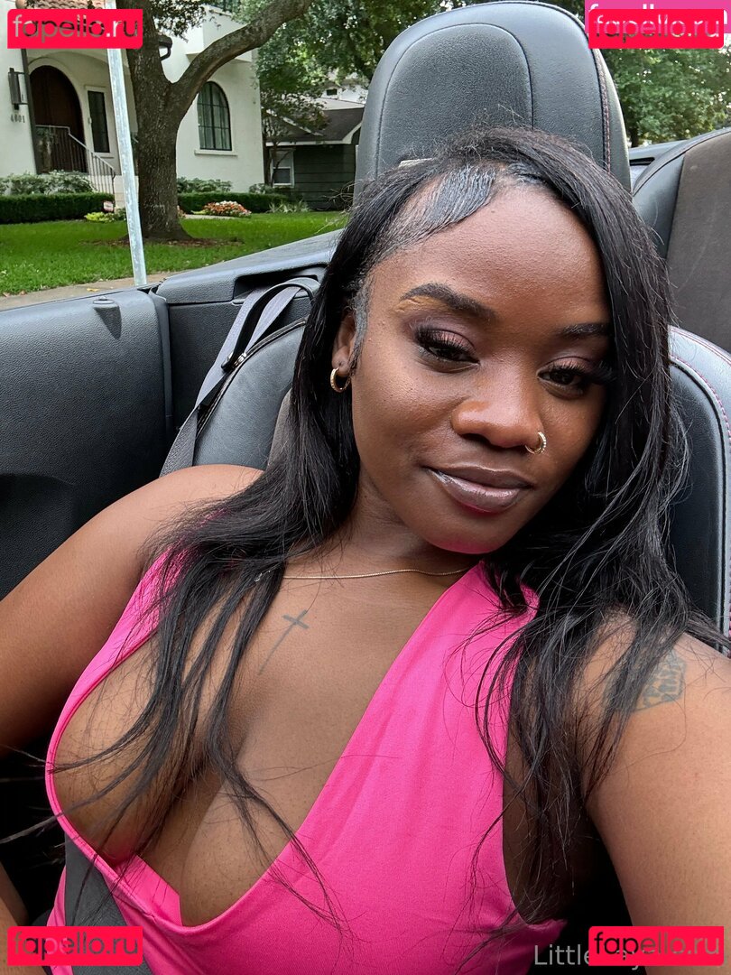 littlelaya Nude Onlyfans Photo 47