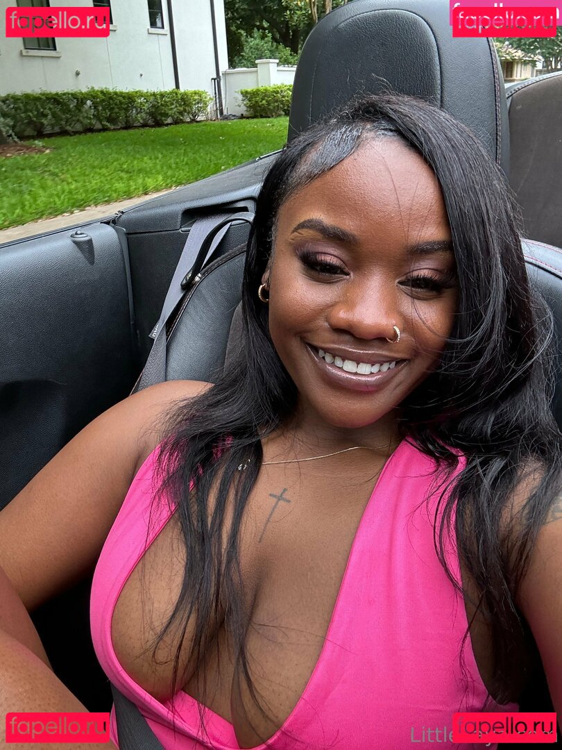 littlelaya Nude Onlyfans Photo 46