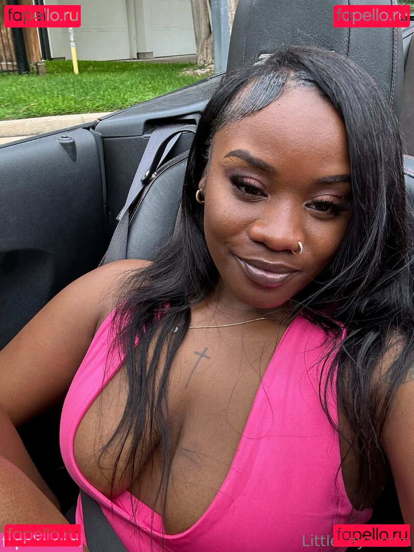 littlelaya Nude Onlyfans Photo 45
