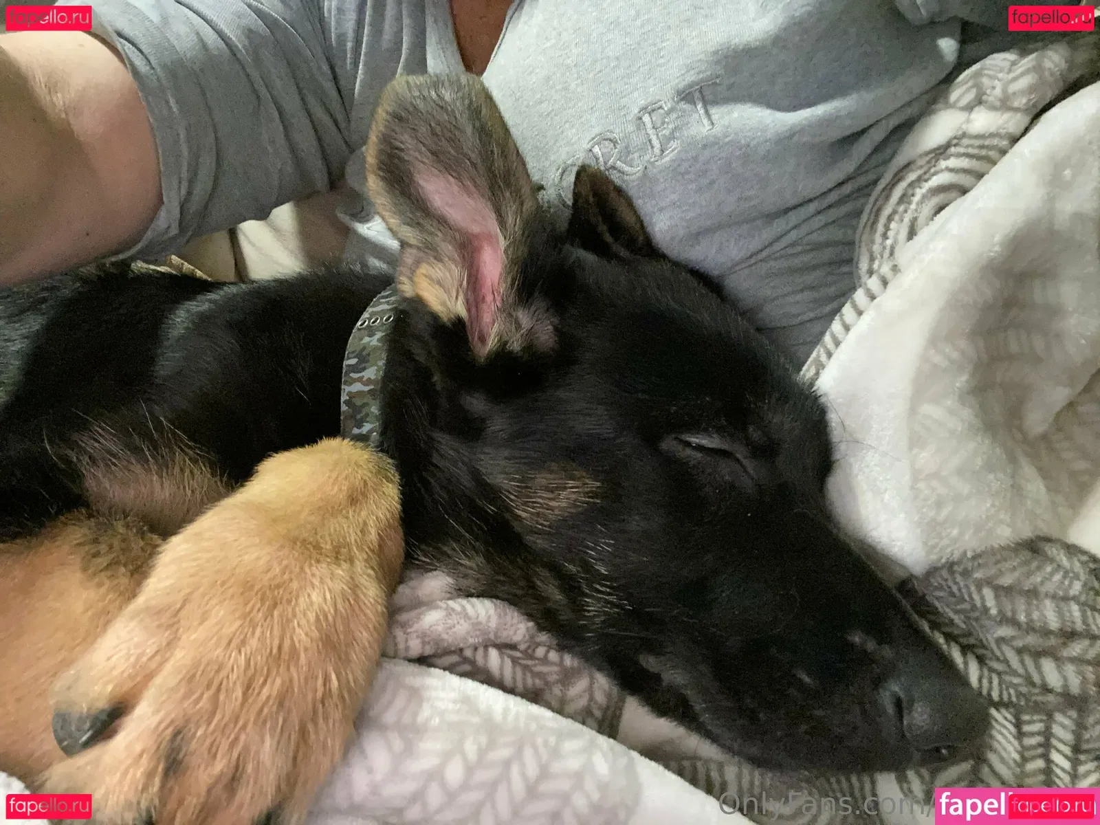 mncookies Onlyfans Photo Gallery 