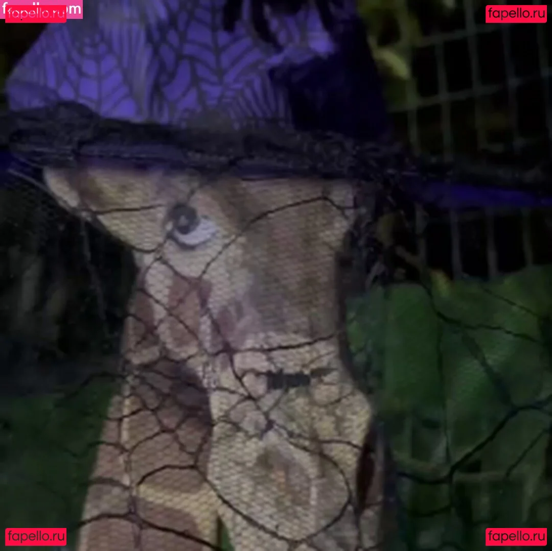 Sophie Buttini Onlyfans Photo Gallery 