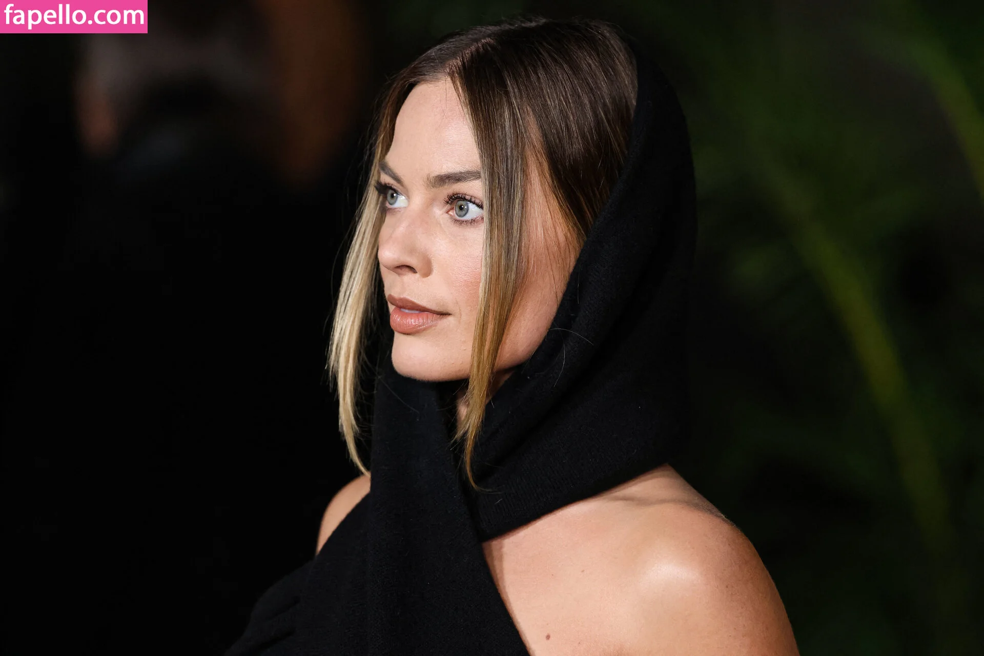 Margot Robbie Onlyfans Photo Gallery 