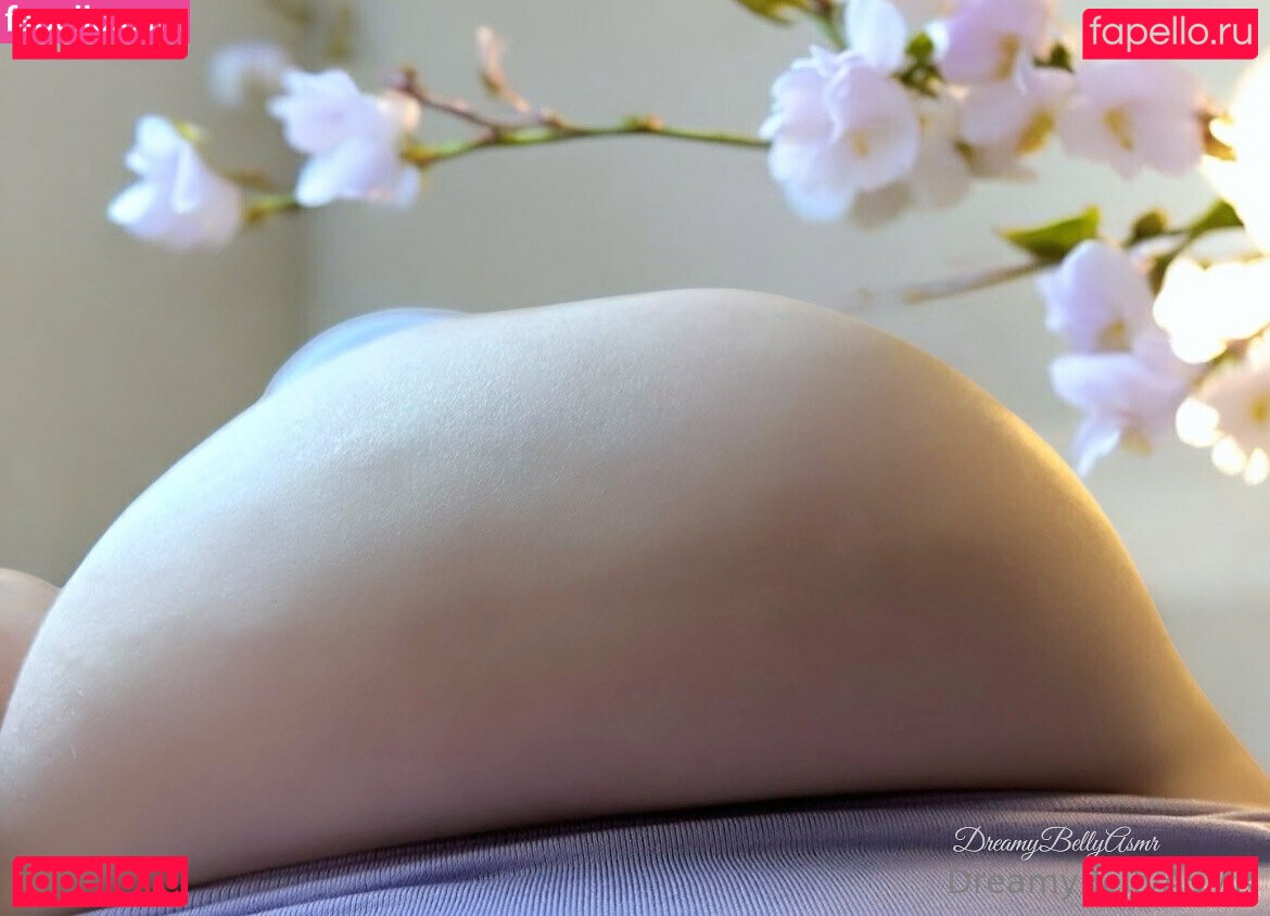 dreamybellyasmr Nude Onlyfans Photo 51
