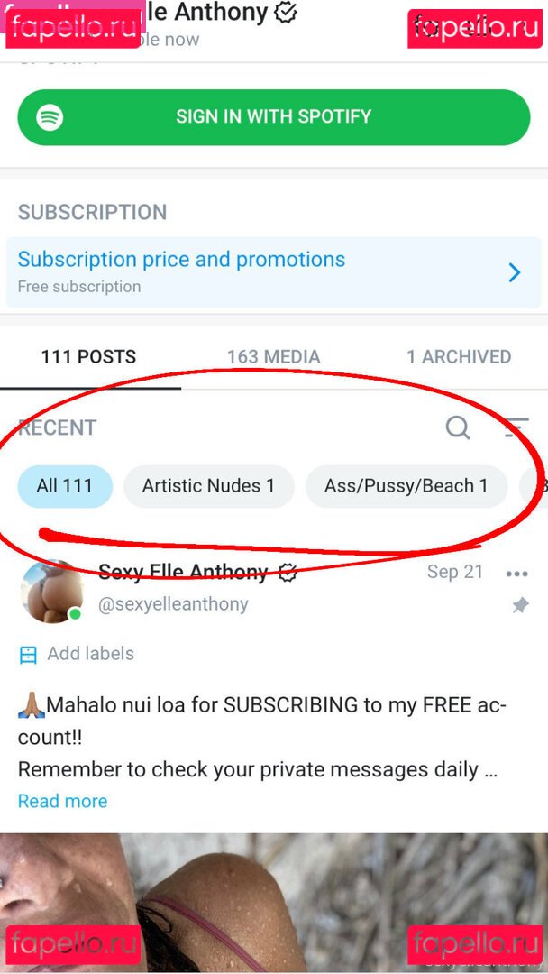 sexyelleanthony Nude Onlyfans Photo 44