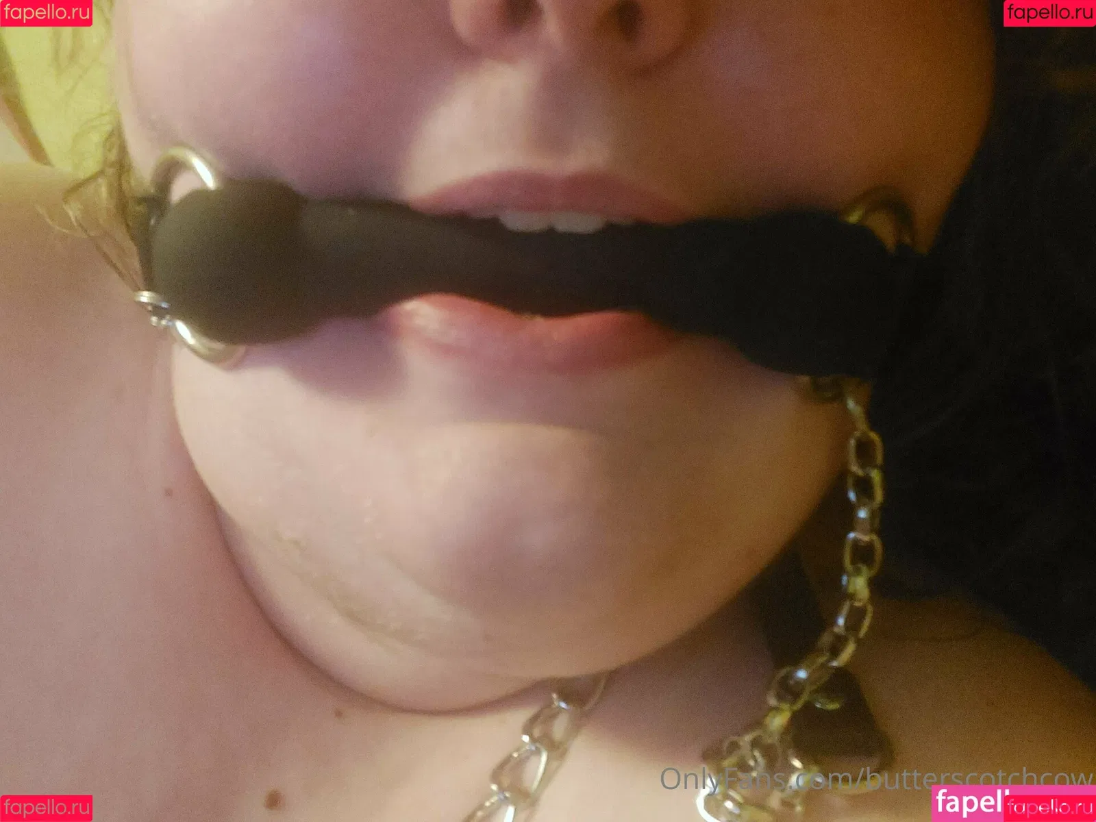 butterscotchcow Onlyfans Photo Gallery 