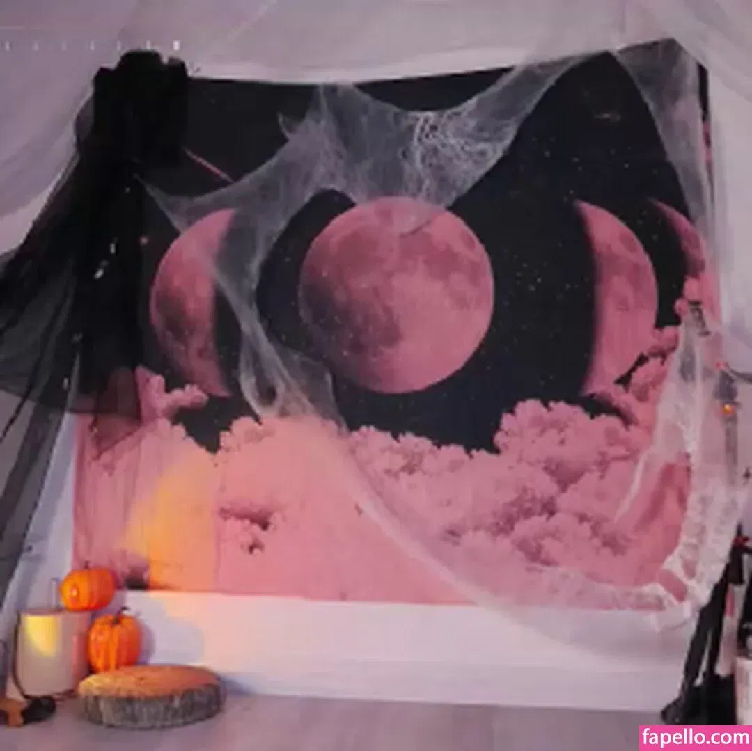 Mollyflwers Onlyfans Photo Gallery 