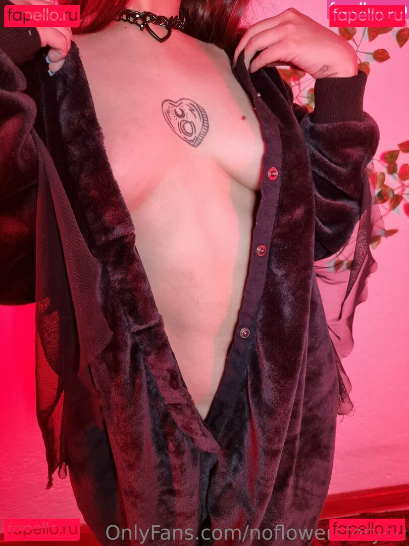 noflowersforyou Nude Onlyfans Photo 8