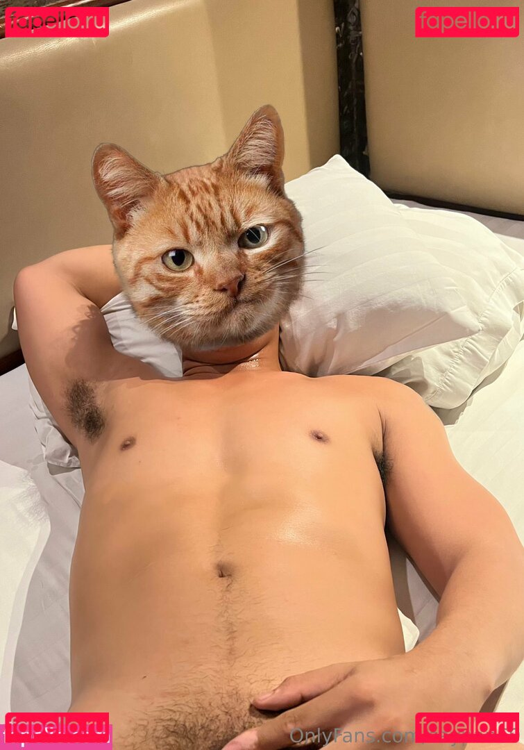 saypan69 Nude Onlyfans Photo 23
