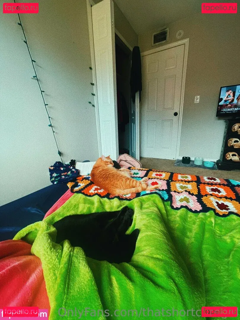 thatshortcutegirl Onlyfans Photo Gallery 