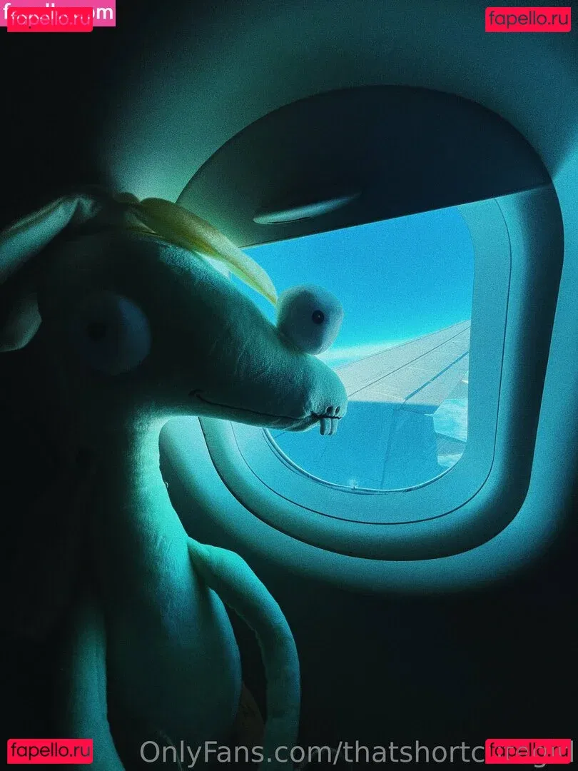 thatshortcutegirl Onlyfans Photo Gallery 