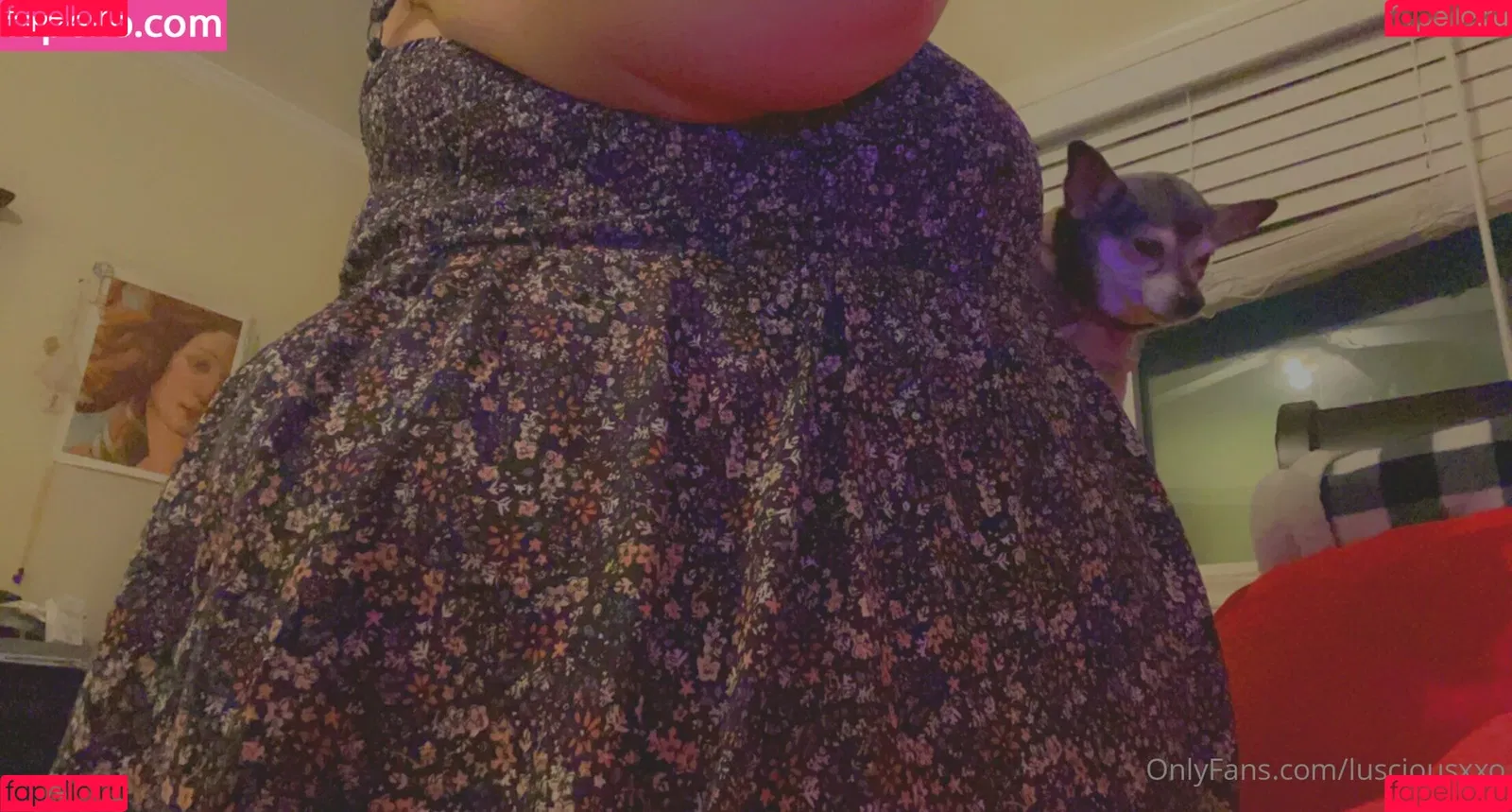 lusciousxxo Onlyfans Photo Gallery 