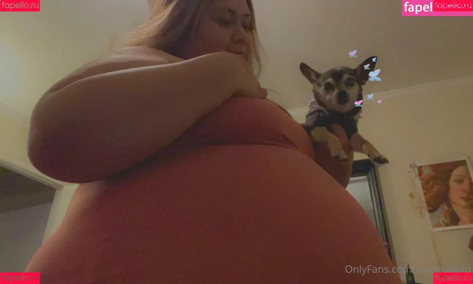 lusciousxxo Onlyfans Photo Gallery 