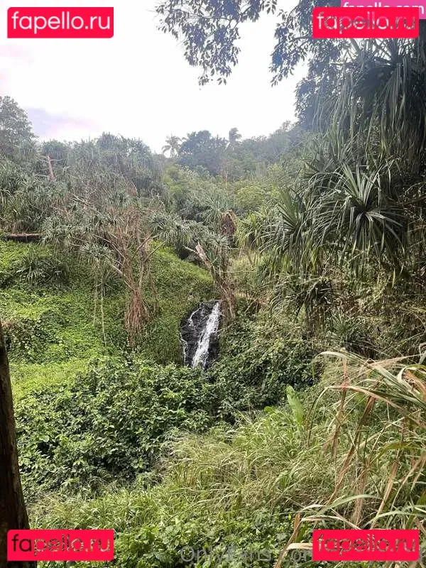 Syd2003 Onlyfans Photo Gallery 