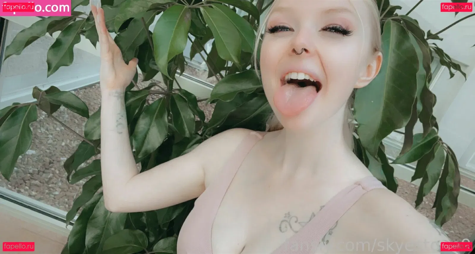 skyestone9 Onlyfans Photo Gallery 