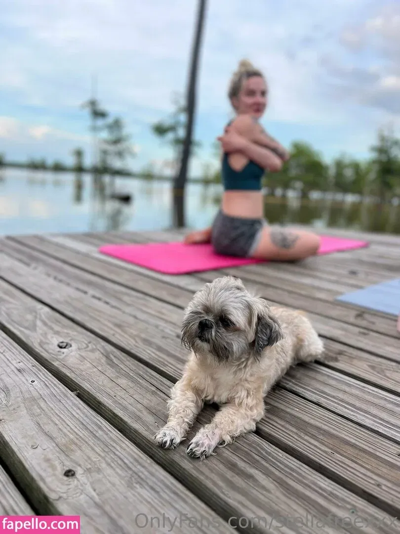 stellafreexxx Onlyfans Photo Gallery 